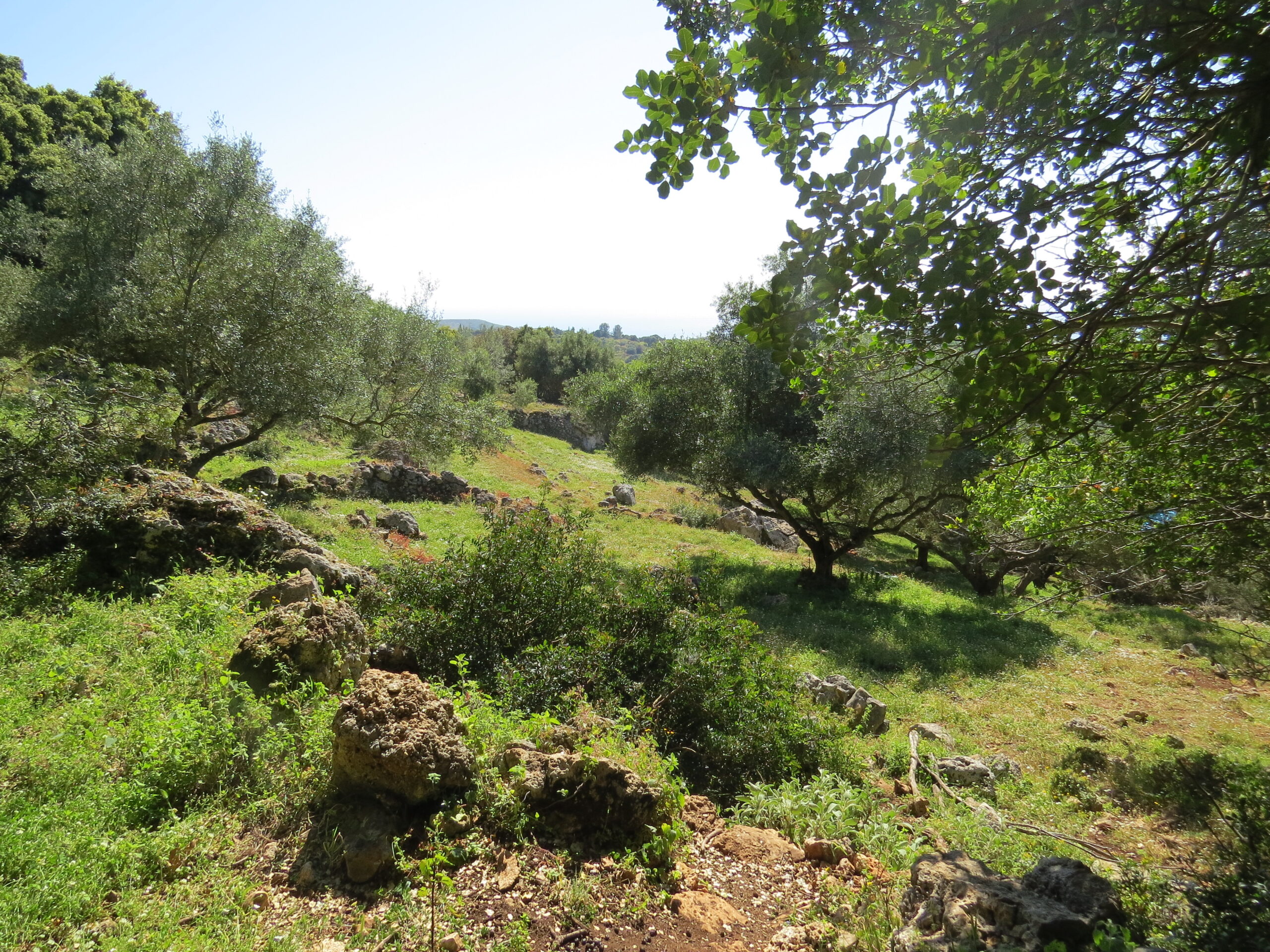 Die 44. Mediterranfahrt: Kefalonia