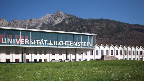 Der Blick auf das Ganze