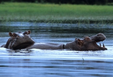 Der Bijagos-Archipel in Guinea-Bissau