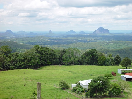 IUFRO-Exkursionen nach Australien und Neuseeland