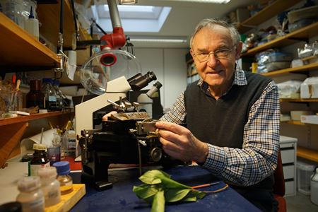 Fritz Hans Schweingruber (1936 – 2020)