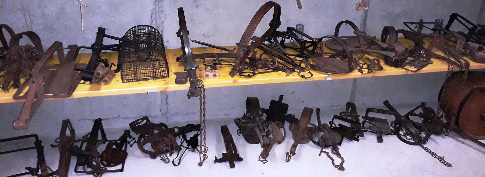 Meine land- und forstwirtschaftliche Sammlung