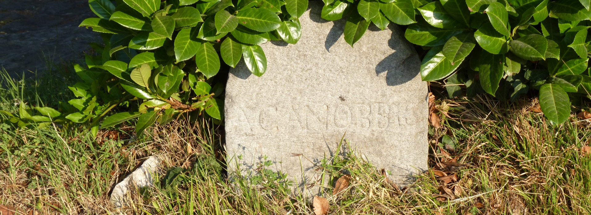 Mein Meilenstein auf der Via delle Genti in Ponte (Cannero Riviera)