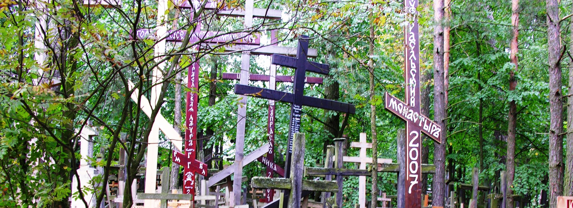 Alte Friedhöfe – Orte der Vergänglichkeit, Stille und Mystik