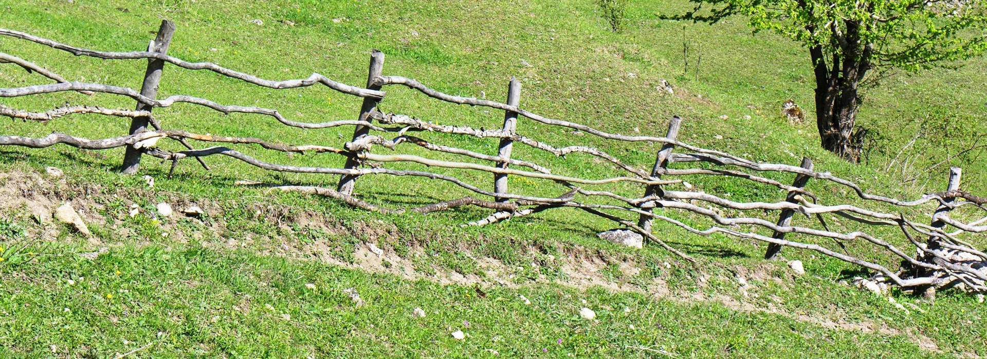 Von alten Abgrenzungen mit Einfriedungen