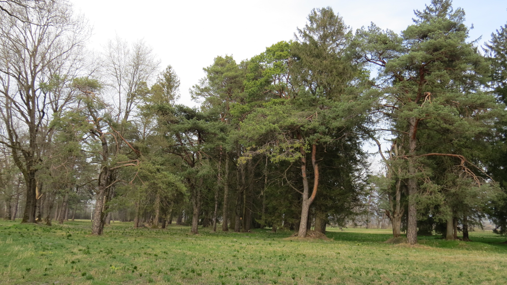 Flurnamen als Langzeitgedächtnis der Landschaft – eine Auslese aus dem rheinnahen Gebiet des Fürstentums Liechtenstein