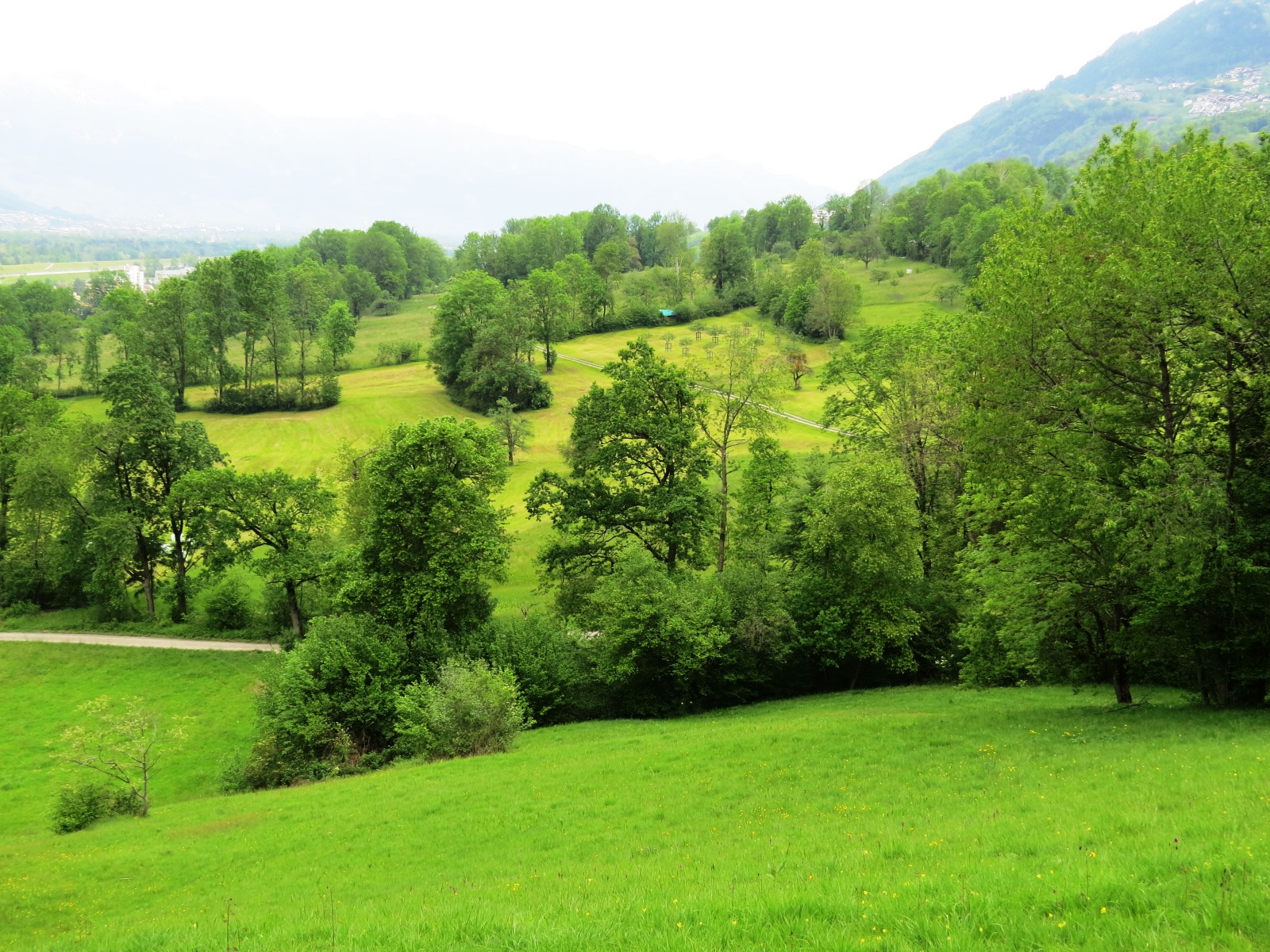 Rewilding mit teilweisem Rückzug
aus alpinen Seitentälern?